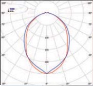  ������ ���� �����